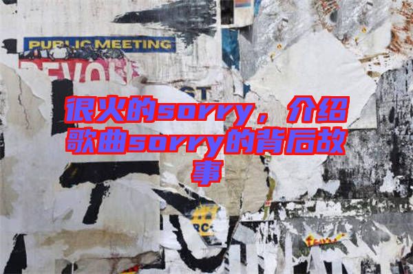 很火的sorry，介紹歌曲sorry的背后故事