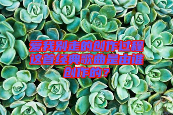 愛我別走的創(chuàng)作過程這首經典歌曲是由誰創(chuàng)作的？