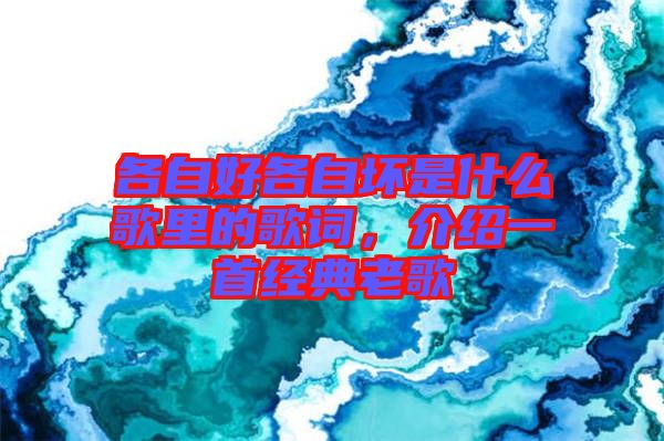 各自好各自壞是什么歌里的歌詞，介紹一首經(jīng)典老歌