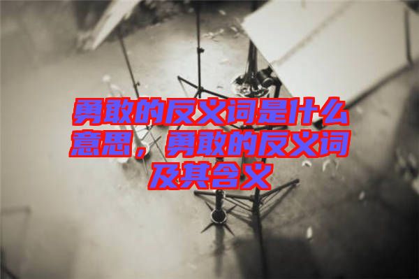 勇敢的反義詞是什么意思，勇敢的反義詞及其含義