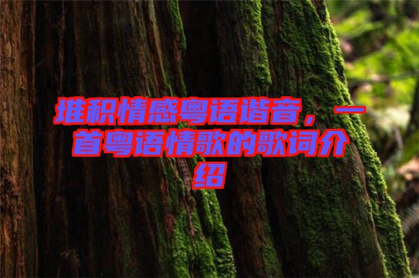 堆積情感粵語諧音，一首粵語情歌的歌詞介紹