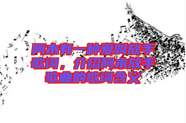 阿木有一種愛(ài)叫放手歌詞，介紹阿木放手歌曲的歌詞含義