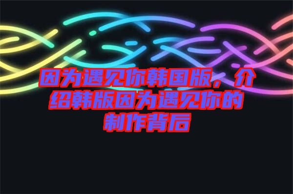 因?yàn)橛鲆娔沩n國(guó)版，介紹韓版因?yàn)橛鲆娔愕闹谱鞅澈? width=