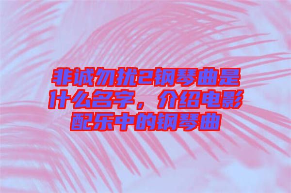 非誠(chéng)勿擾2鋼琴曲是什么名字，介紹電影配樂(lè)中的鋼琴曲