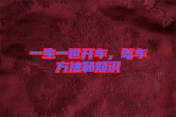 一生一世開車，駕車方法和知識