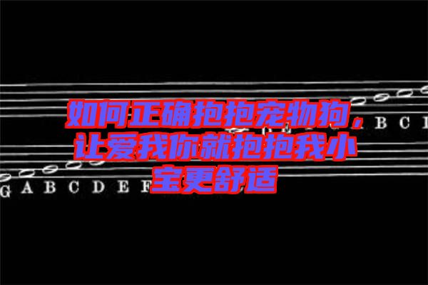 如何正確抱抱寵物狗，讓愛我你就抱抱我小寶更舒適