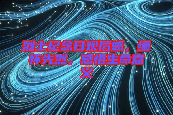 烈士紀(jì)念日觀后感，緬懷先烈，感悟生命意義