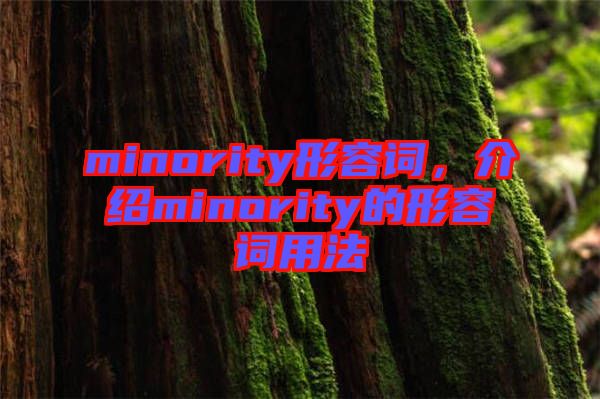 minority形容詞，介紹minority的形容詞用法