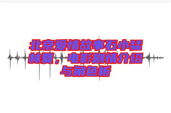 北京愛(ài)情故事石小猛林夏，電影劇情介紹與角色析