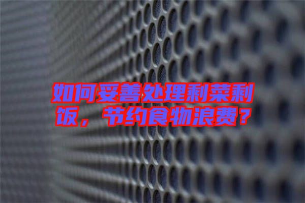 如何妥善處理剩菜剩飯，節(jié)約食物浪費？