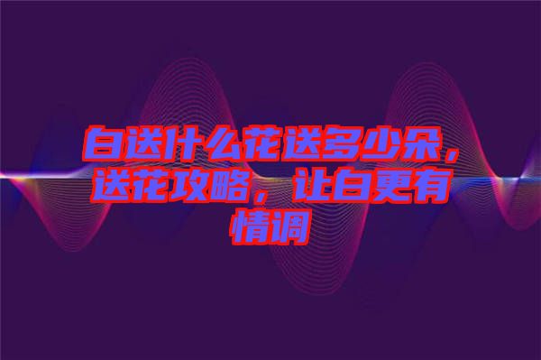 白送什么花送多少朵，送花攻略，讓白更有情調(diào)