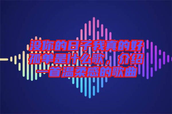 沒你的日子我真的好孤單是什么歌，介紹一首溫柔感的歌曲
