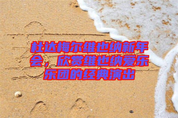 杜達(dá)梅爾維也納新年會(huì)，欣賞維也納愛(ài)樂(lè)樂(lè)團(tuán)的經(jīng)典演出