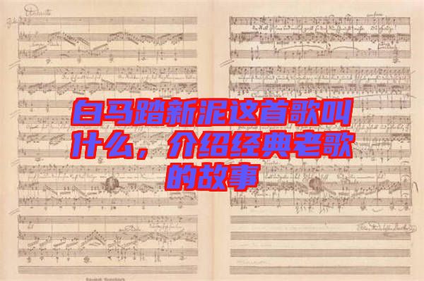 白馬踏新泥這首歌叫什么，介紹經(jīng)典老歌的故事