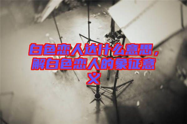 白色戀人達什么意思，解白色戀人的象征意義