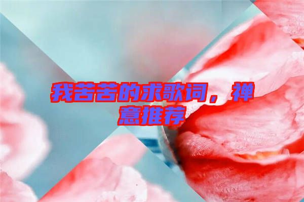 我苦苦的求歌詞，禪意推薦