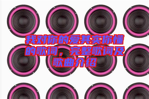 我對(duì)你的愛其實(shí)你懂的歌詞，完整歌詞及歌曲介紹