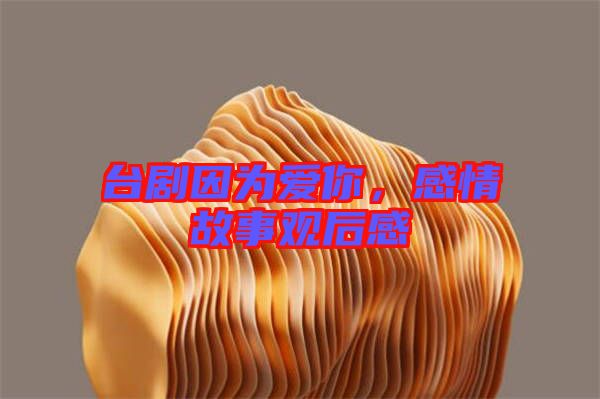 臺(tái)劇因?yàn)閻?ài)你，感情故事觀后感