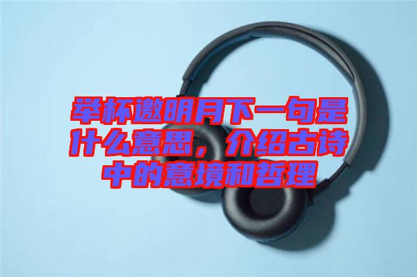 舉杯邀明月下一句是什么意思，介紹古詩中的意境和哲理