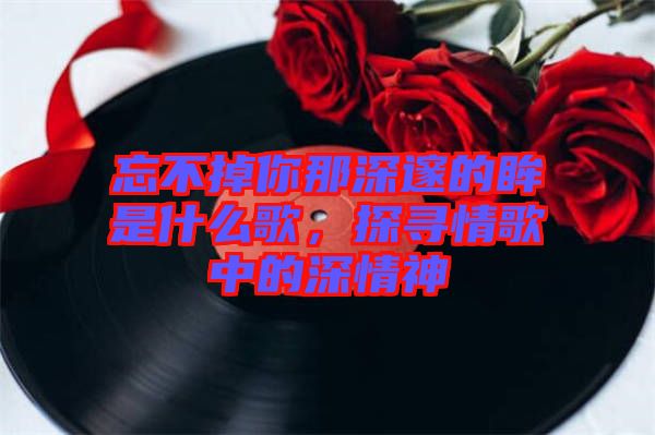 忘不掉你那深邃的眸是什么歌，探尋情歌中的深情神