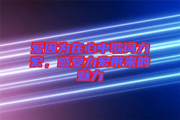 愛因為在心中歌詞力宏，感受力宏帶來的魅力
