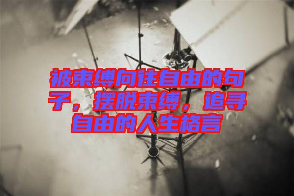 被束縛向往自由的句子，擺脫束縛，追尋自由的人生格言