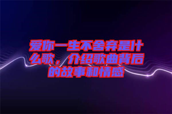愛你一生不舍棄是什么歌，介紹歌曲背后的故事和情感