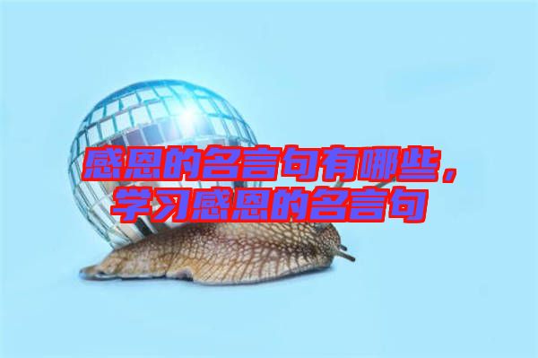 感恩的名言句有哪些，學(xué)習(xí)感恩的名言句