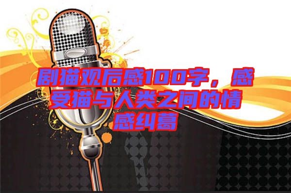 劇貓觀后感100字，感受貓與人類之間的情感糾葛