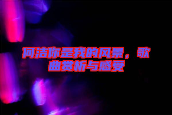 何潔你是我的風(fēng)景，歌曲賞析與感受