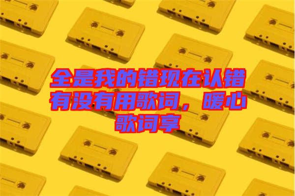 全是我的錯現(xiàn)在認錯有沒有用歌詞，暖心歌詞享