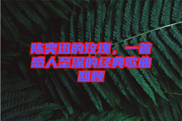 陳奕迅的玫瑰，一首感人至深的經(jīng)典歌曲回顧