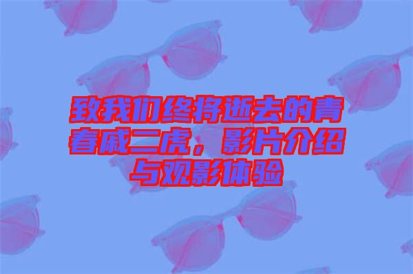 致我們終將逝去的青春戚二虎，影片介紹與觀影體驗