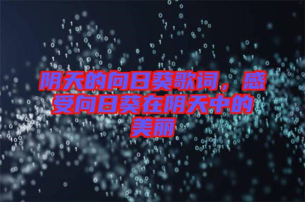 陰天的向日葵歌詞，感受向日葵在陰天中的美麗