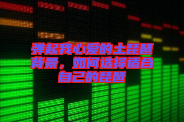 彈起我心愛的土琵琶背景，如何選擇適合自己的琵琶