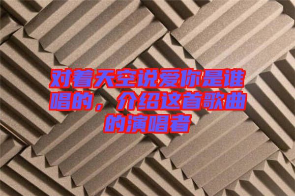 對著天空說愛你是誰唱的，介紹這首歌曲的演唱者