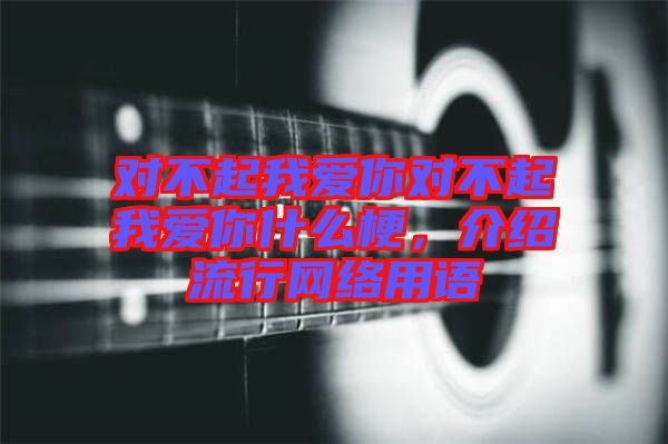 對(duì)不起我愛(ài)你對(duì)不起我愛(ài)你什么梗，介紹流行網(wǎng)絡(luò)用語(yǔ)