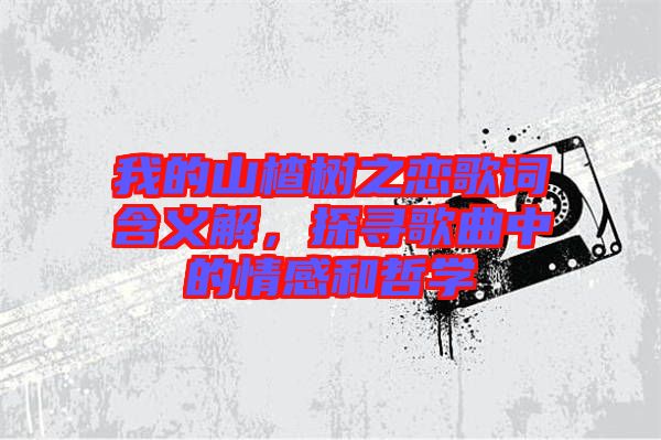 我的山楂樹(shù)之戀歌詞含義解，探尋歌曲中的情感和哲學(xué)