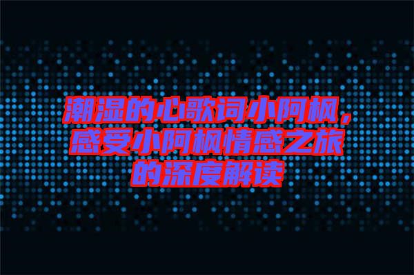 潮濕的心歌詞小阿楓，感受小阿楓情感之旅的深度解讀