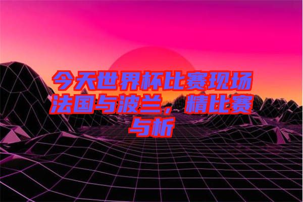 今天世界杯比賽現(xiàn)場法國與波蘭，精比賽與析
