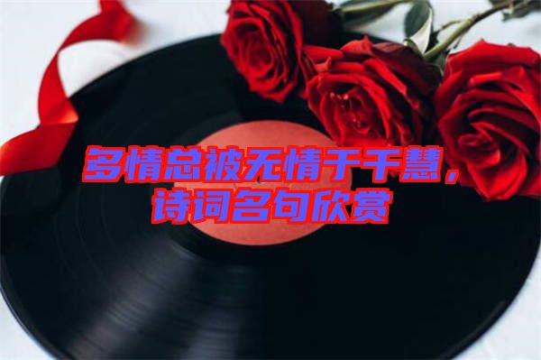 多情總被無情于千慧，詩詞名句欣賞
