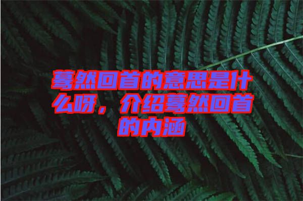 驀然回首的意思是什么呀，介紹驀然回首的內(nèi)涵