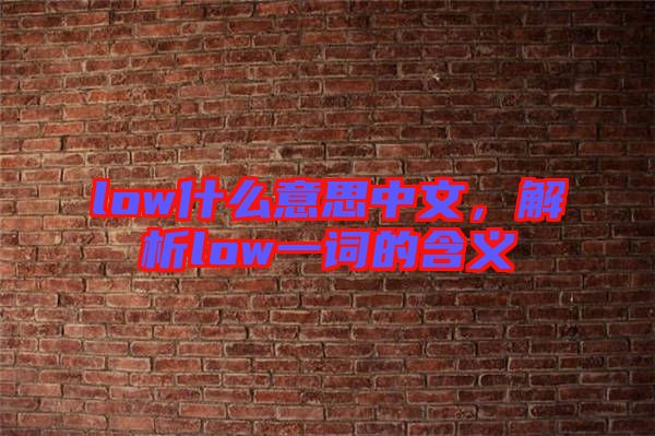 low什么意思中文，解析low一詞的含義