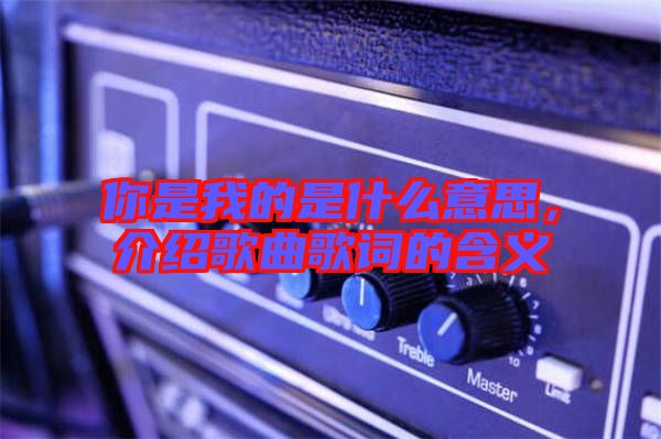 你是我的是什么意思，介紹歌曲歌詞的含義