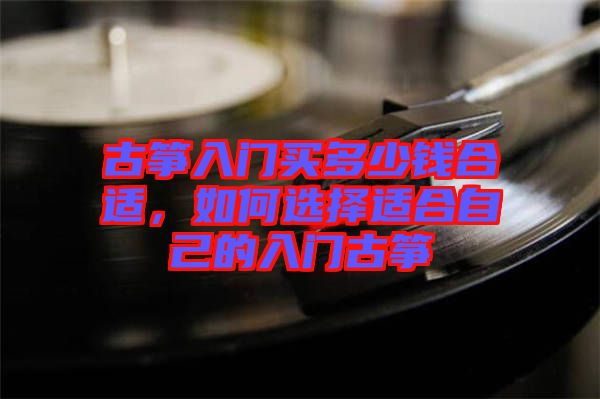 古箏入門買多少錢合適，如何選擇適合自己的入門古箏