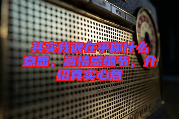 其實(shí)我很在乎你什么意思，解情感細(xì)節(jié)，介紹真實(shí)心意
