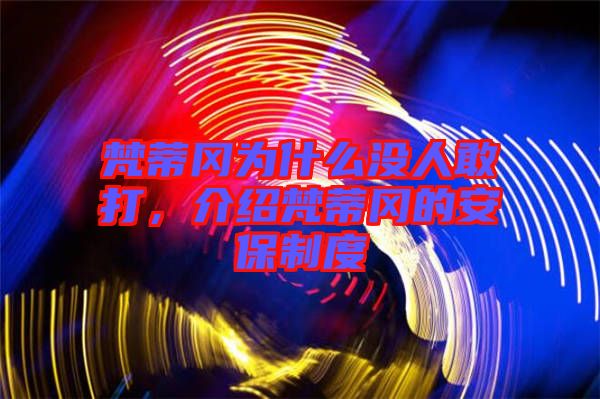 梵蒂岡為什么沒人敢打，介紹梵蒂岡的安保制度