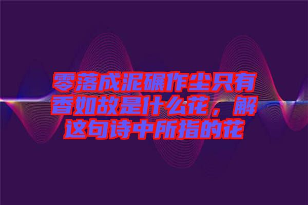零落成泥碾作塵只有香如故是什么花，解這句詩(shī)中所指的花