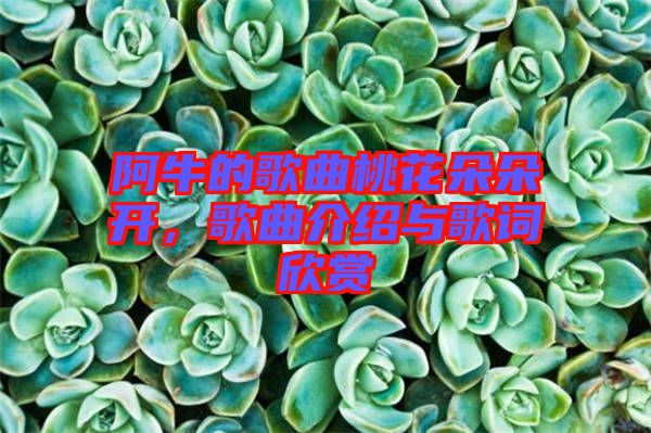 阿牛的歌曲桃花朵朵開，歌曲介紹與歌詞欣賞