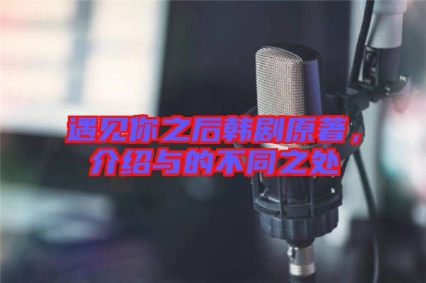 遇見你之后韓劇原著，介紹與的不同之處
